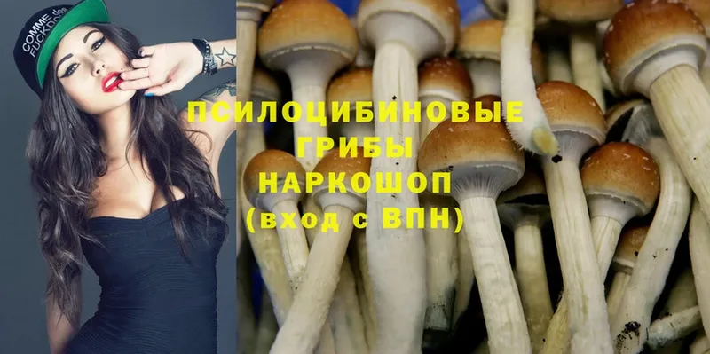 Псилоцибиновые грибы Magic Shrooms  купить наркоту  Анжеро-Судженск 